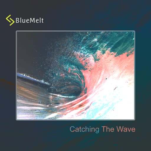 Cover image for Catching The Wave